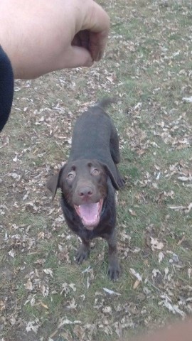 I Smille for Treats!